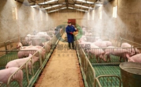 养殖场喷雾除臭消毒系统在养猪场应用