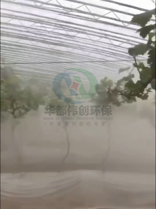 微信图片_20220419104837_副本.png