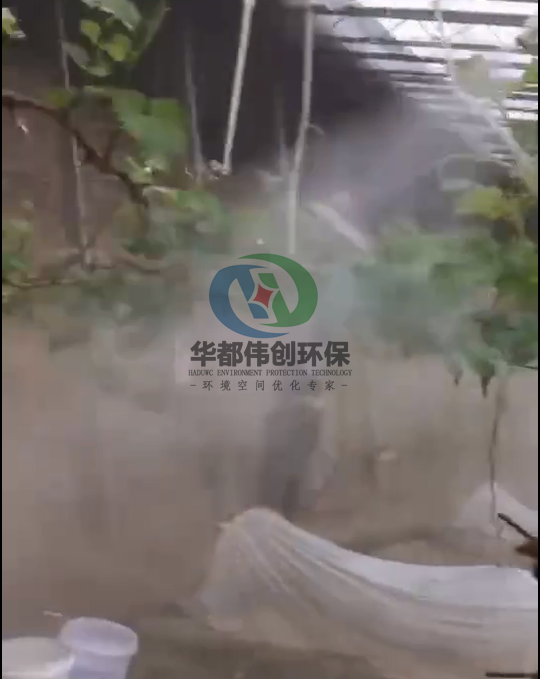 微信图片_20220419104850_副本.png